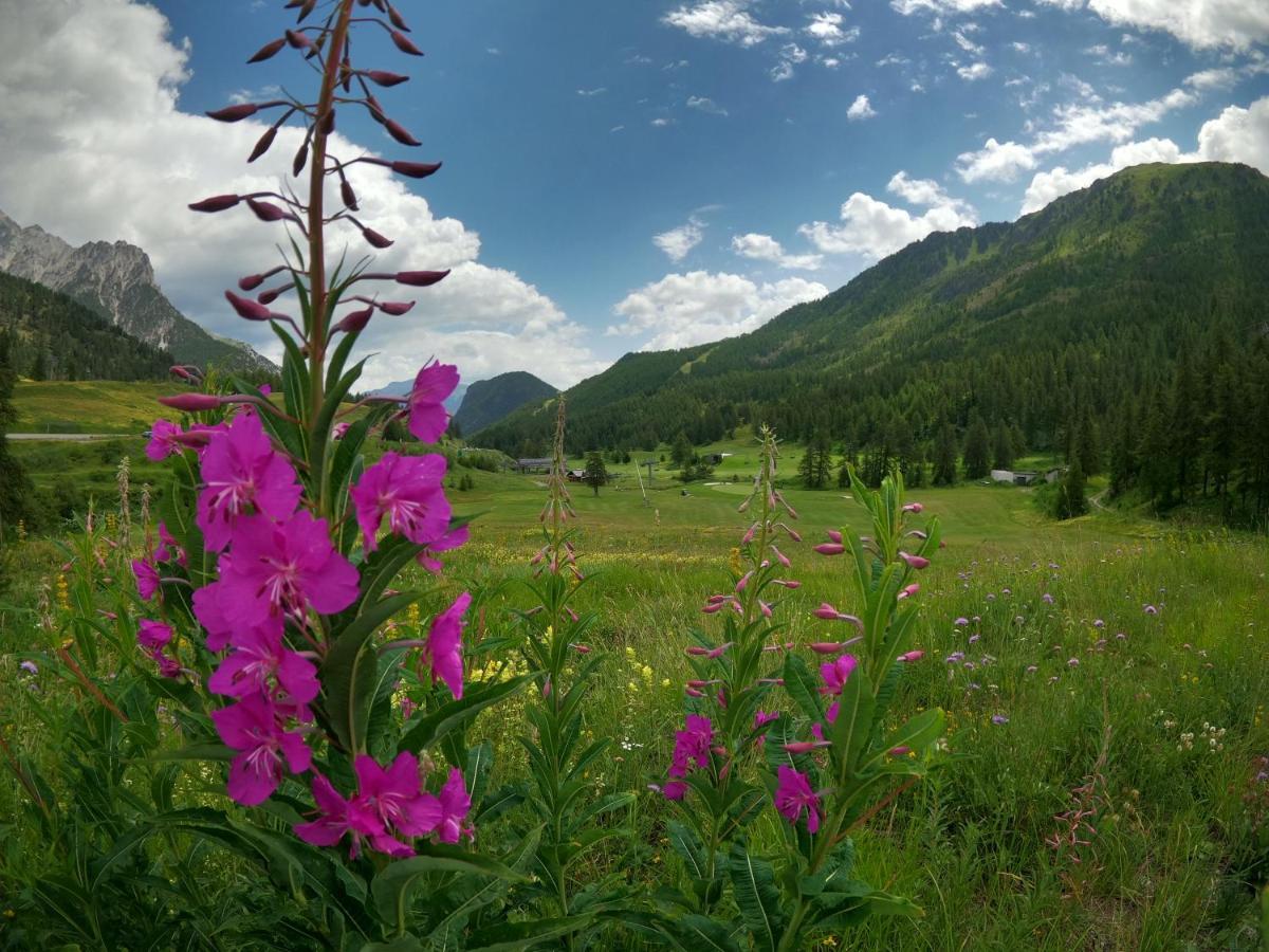 Le Chaberton, Renove En 2021, Pied Des Pistes Et Spa 蒙热内夫尔 外观 照片