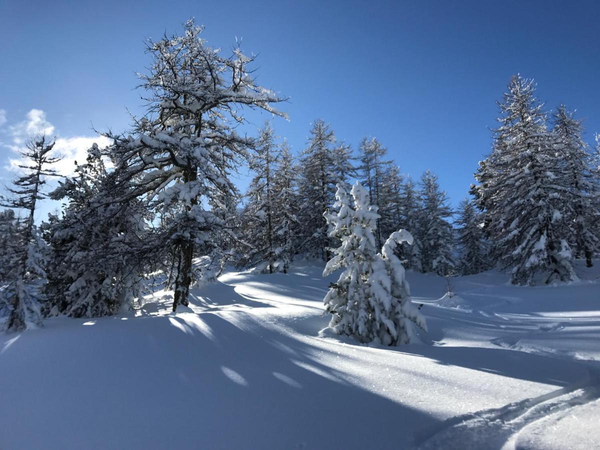 Le Chaberton, Renove En 2021, Pied Des Pistes Et Spa 蒙热内夫尔 外观 照片