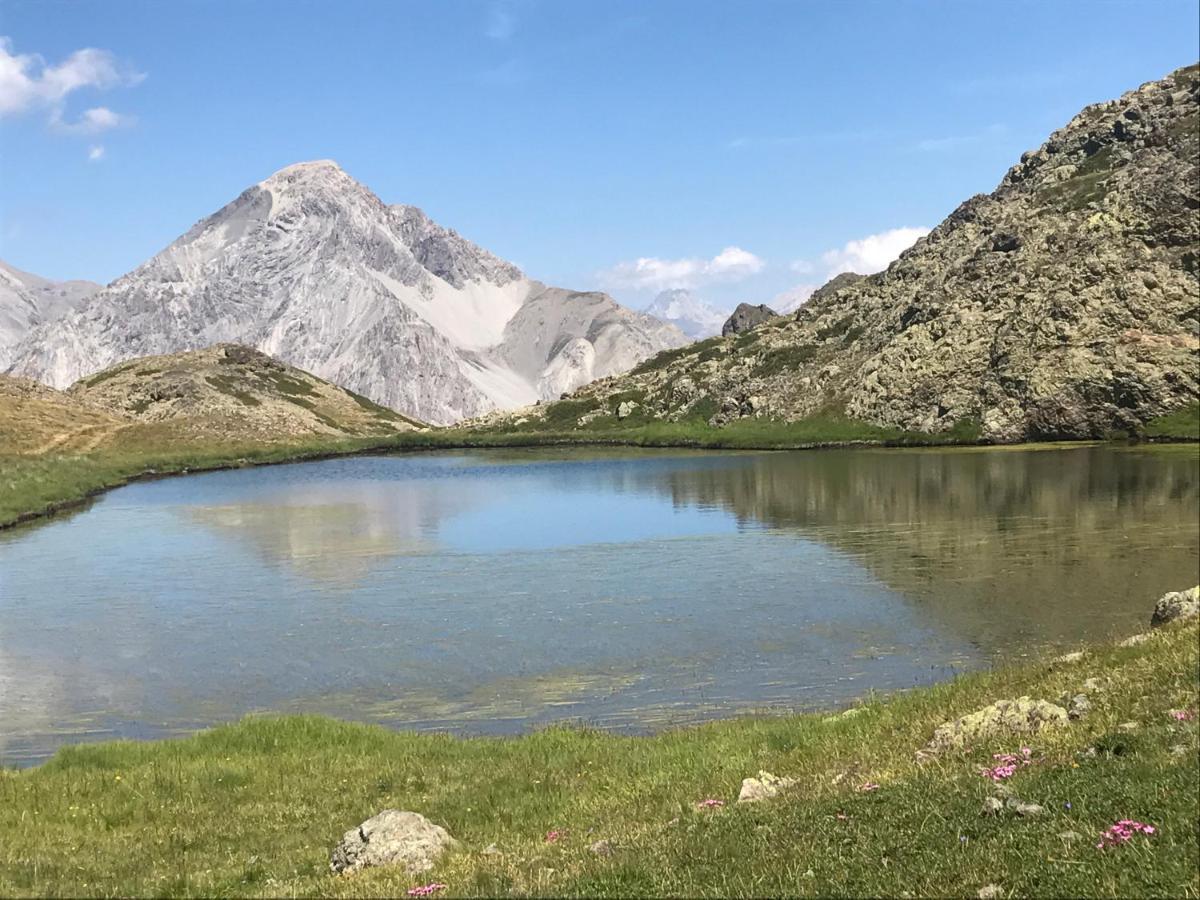 Le Chaberton, Renove En 2021, Pied Des Pistes Et Spa 蒙热内夫尔 外观 照片